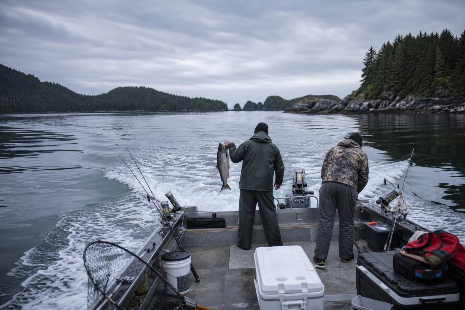 Cover image for article: Kodiak king salmon capped at 1 fish daily as two river drainages stay closed through July 25