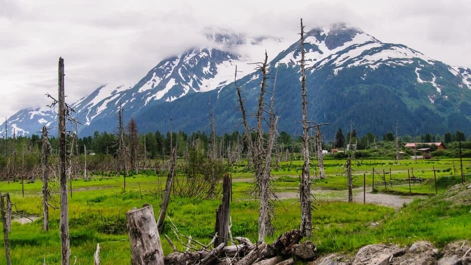 Cover image for article: Alaska will score rural health grant applications on cost-effectiveness