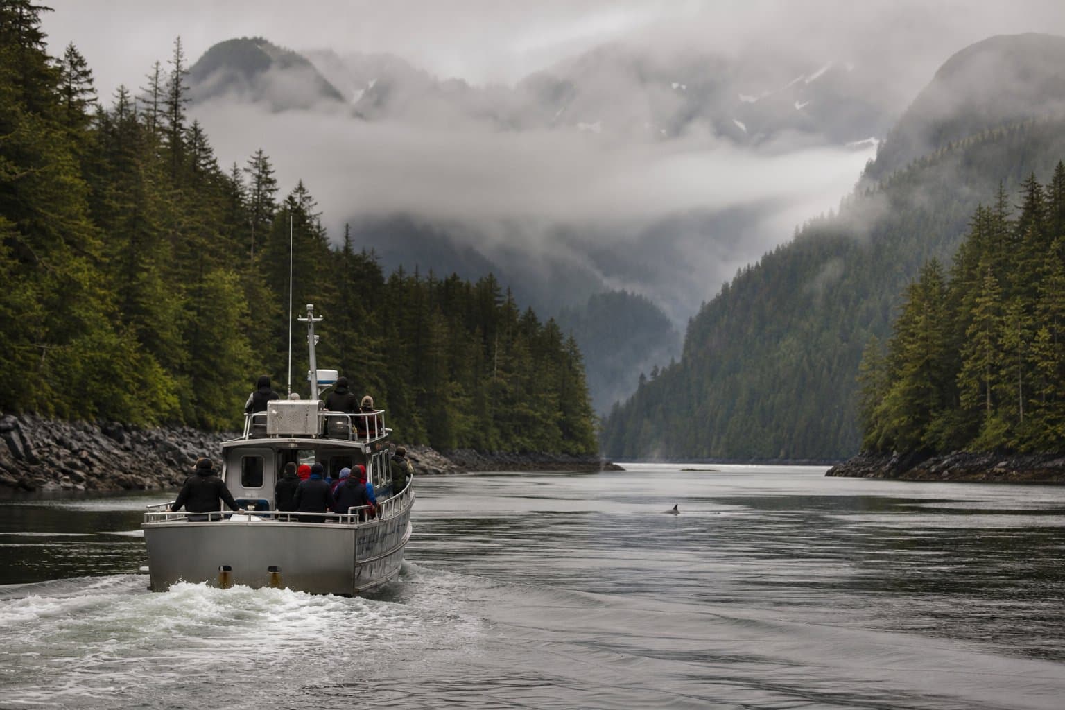 Cover image for article: Whale watching incident in Coghlan Cut prompts operator inquiry at Juneau task force