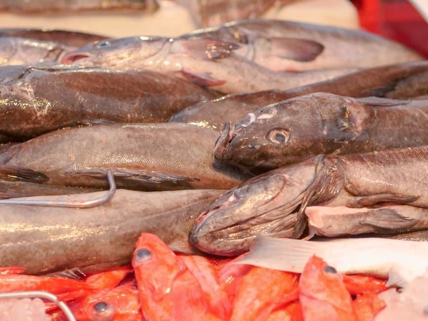 Cover image for article: New models could cut Alaska's 2026 sablefish catch advice by nearly a third