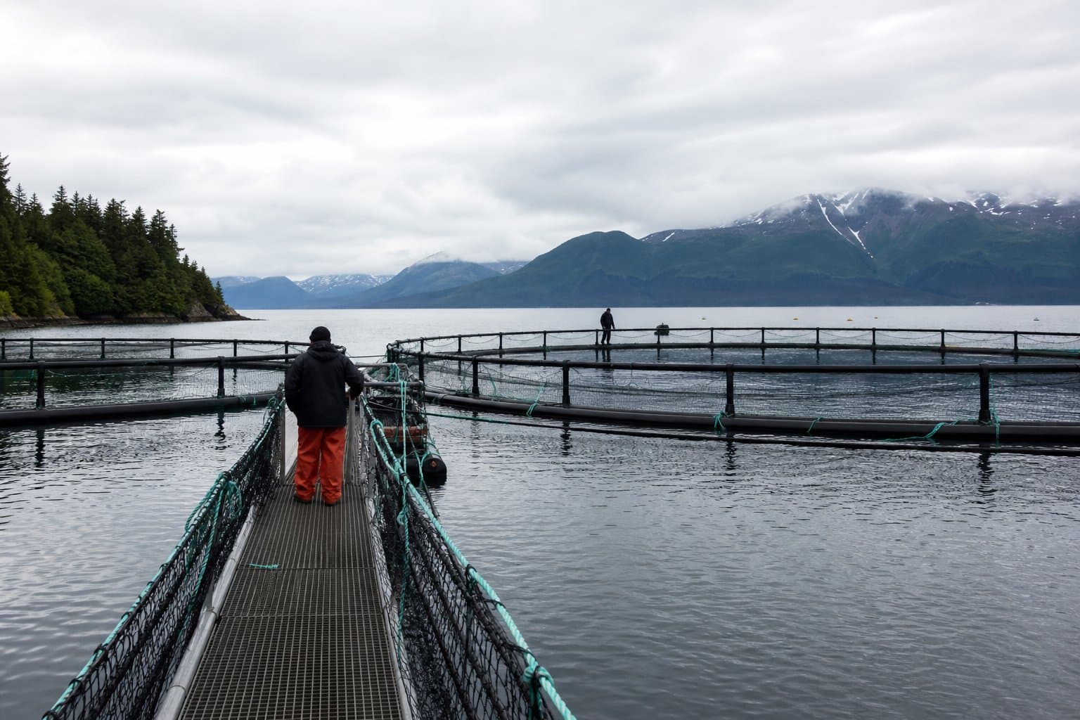 Cover image for article: USDA expands disaster pay for Alaska fish farms, livestock, and beekeepers