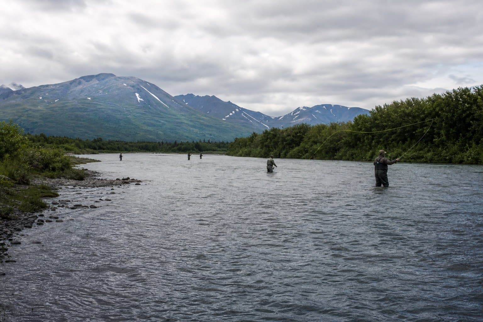 Cover image for article: No king salmon to keep in Nushagak-Mulchatna through July 31