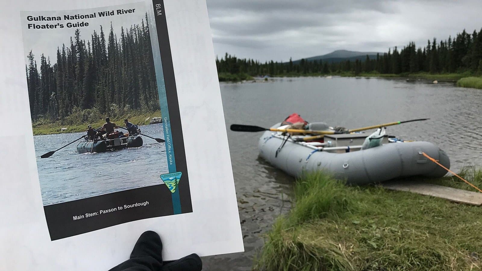 Cover image for article: Federal board rejects request to start Unit 13 moose closure on BLM land early