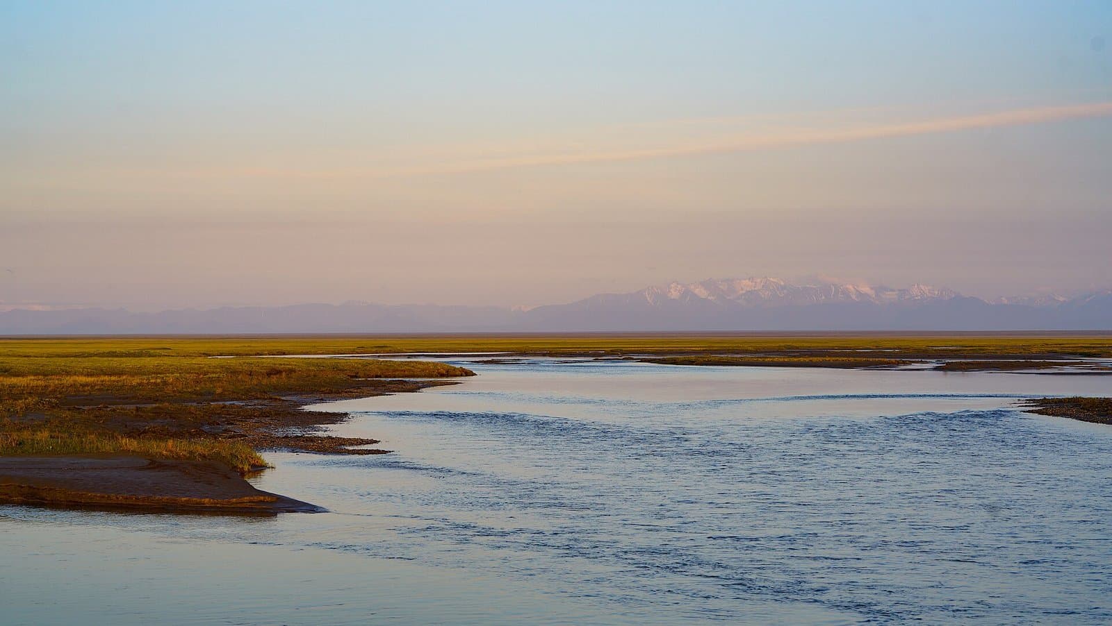Cover image for article: Federal judge hears bid Thursday to throw out Arctic refuge oil leasing and leases
