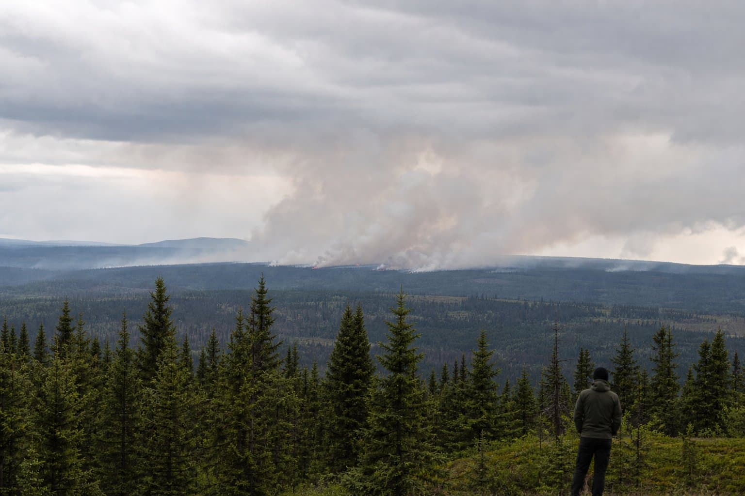 Cover image for article: Three Interior wildfires under investigation as July ignitions climb