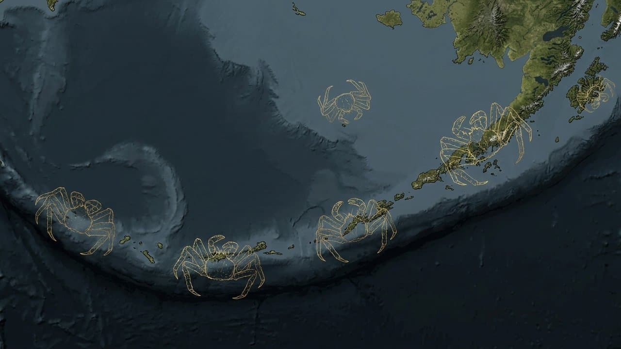 Cover image for article: North Pacific Fisheries Management Council limit golden king crab catch limits