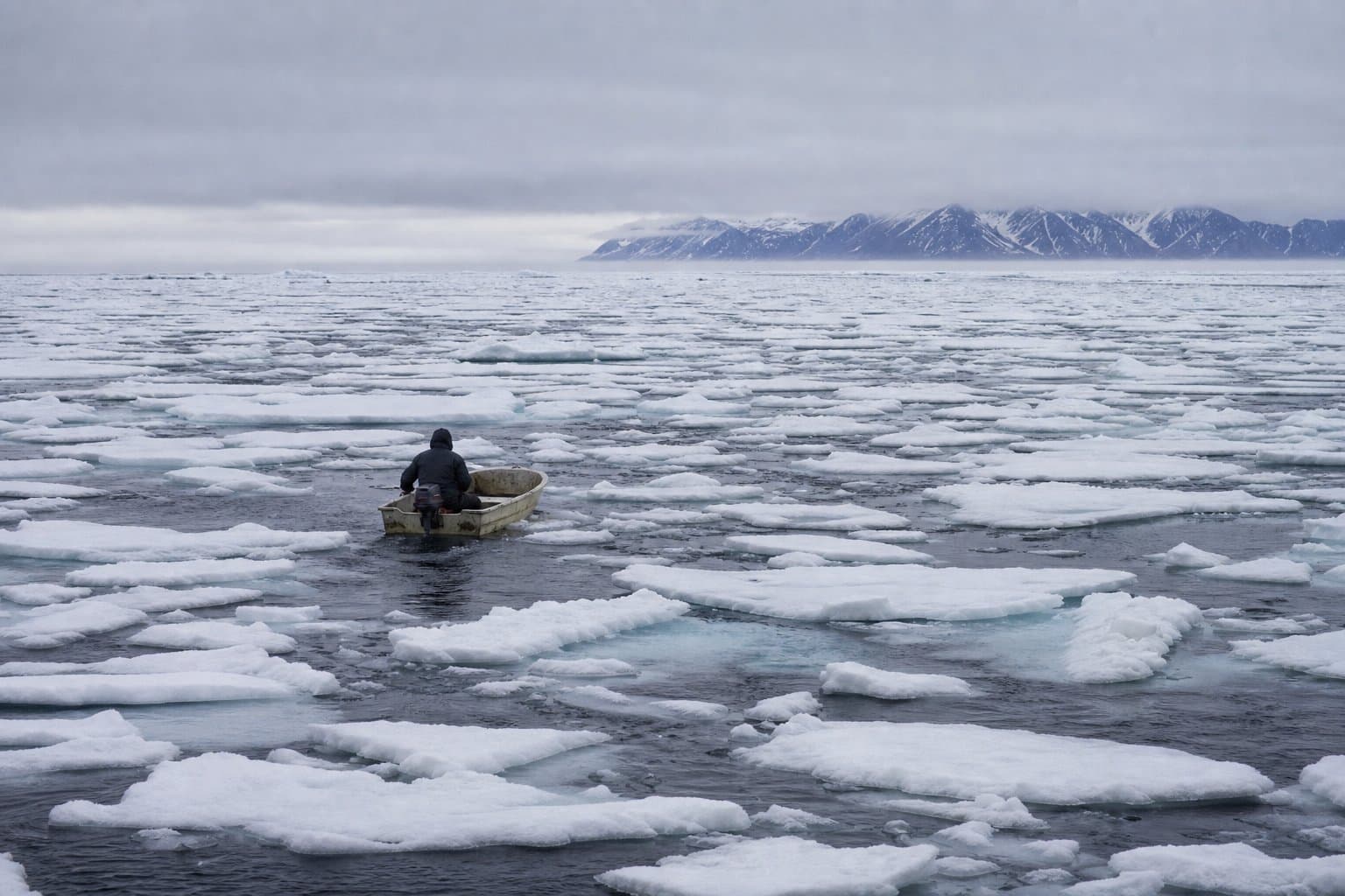 Cover image for article: Chukchi Sea ice runs above median for third straight late June