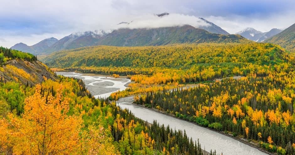Cover image for article: Fall chum and coho harvest is closed across the Tanana drainage until Dec. 31