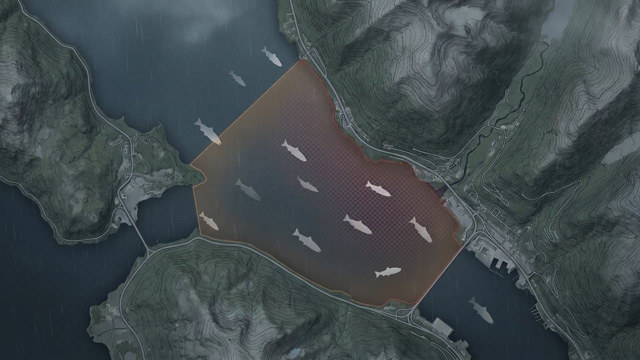 Cover image for article: North Gastineau Channel closes to all sport fishing Sept. 1