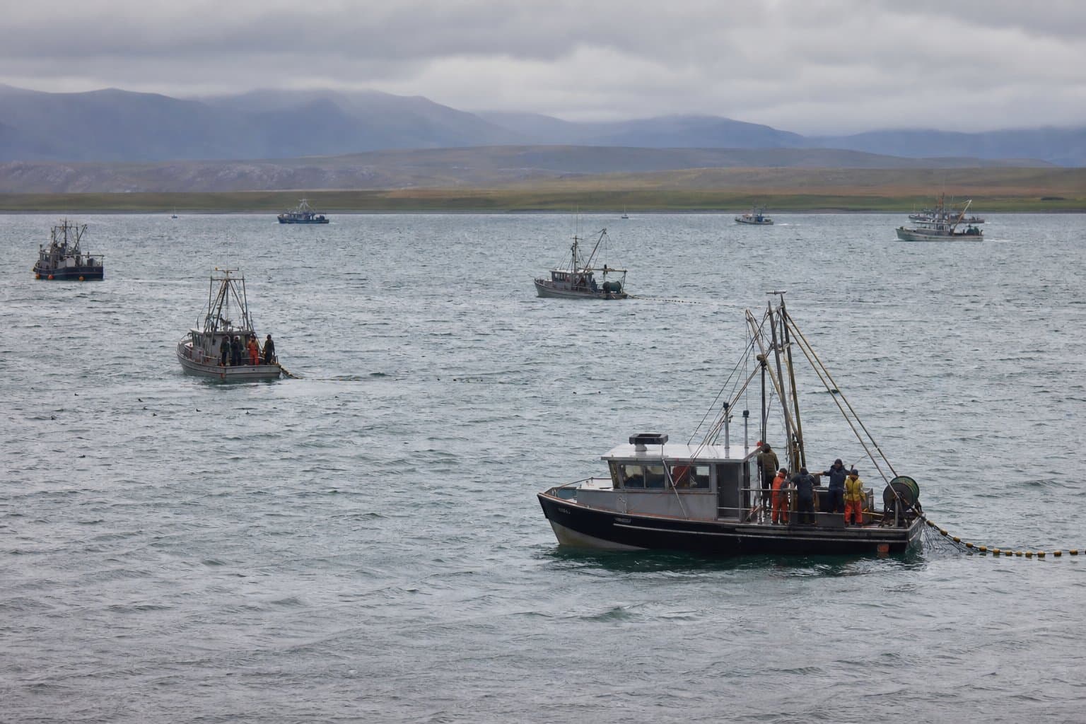 Cover image for article: Bristol Bay enforcement blitz reaches 18 citations as sockeye season peaks