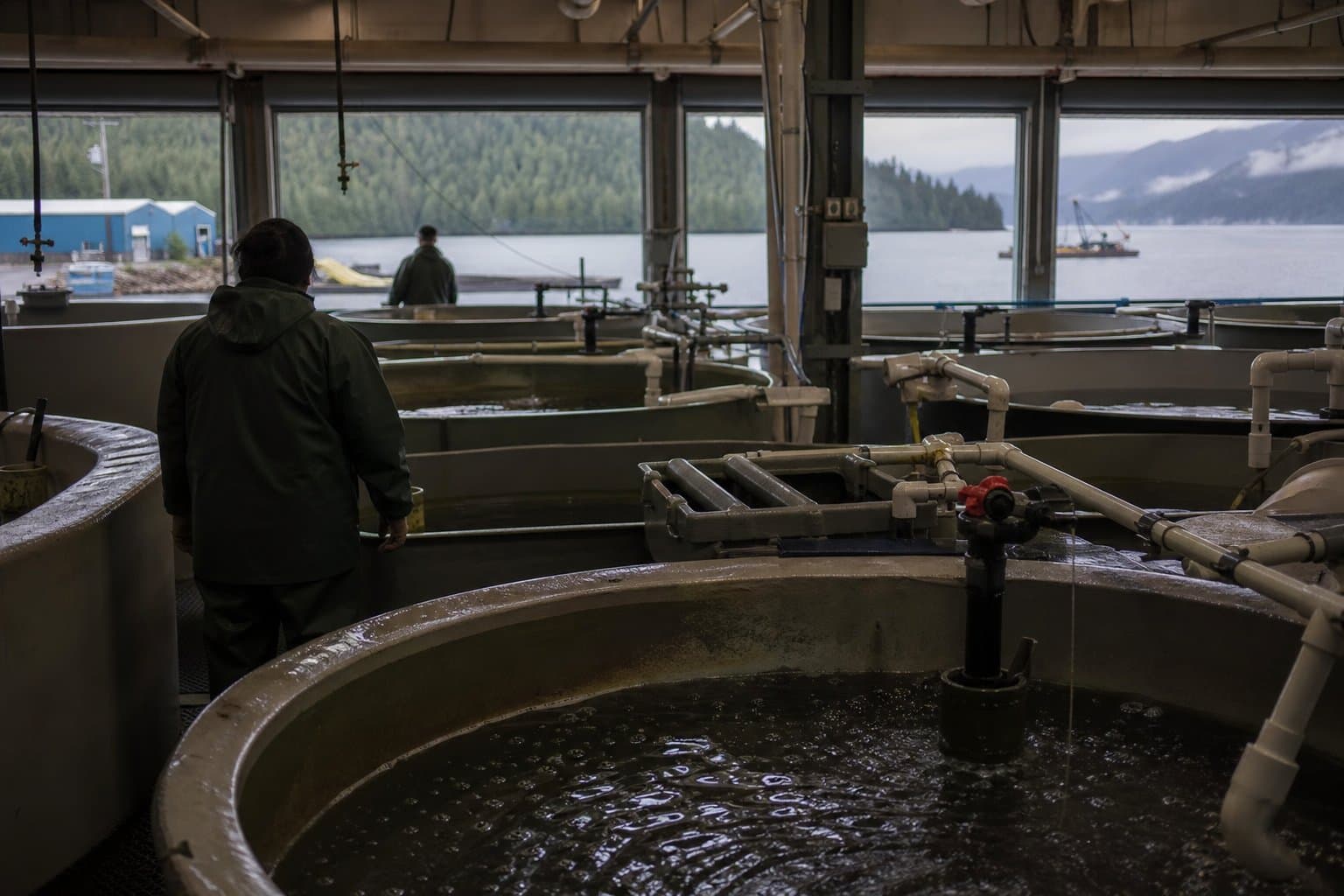 Cover image for article: Sitka Assembly to consider leasing industrial park lot to regional aquaculture association