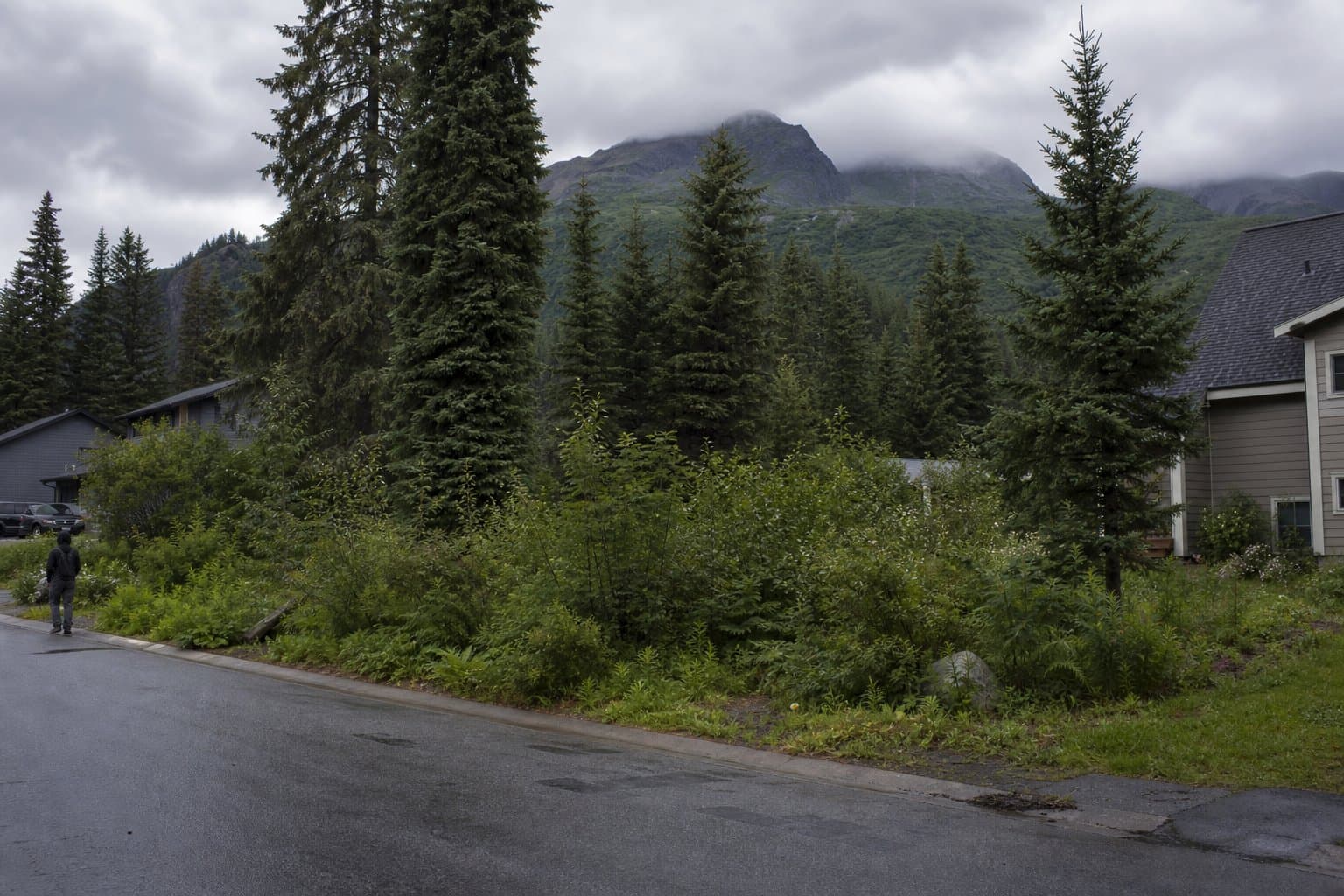 Cover image for article: Anchorage Platting Board to weigh Girdwood plat note removal Aug. 5