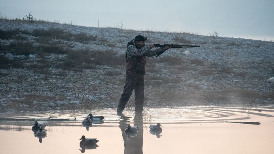 Cover image for article: Troopers say Eagle River hunter used a $5 license he did not qualify for