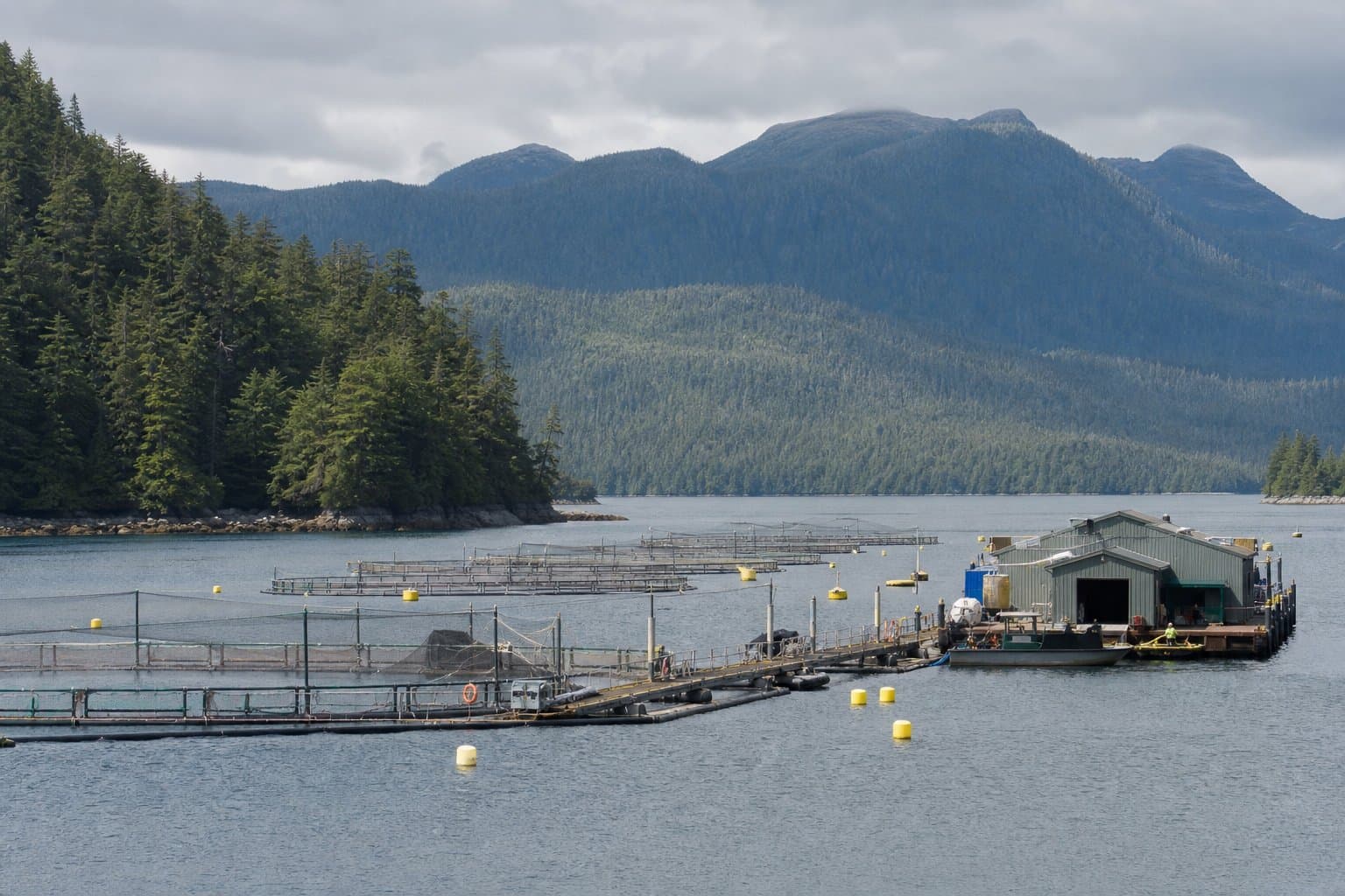 Cover image for article: The state will renew a Sitka hatchery's Deep Inlet lease for 10 years, not the 25 it wanted