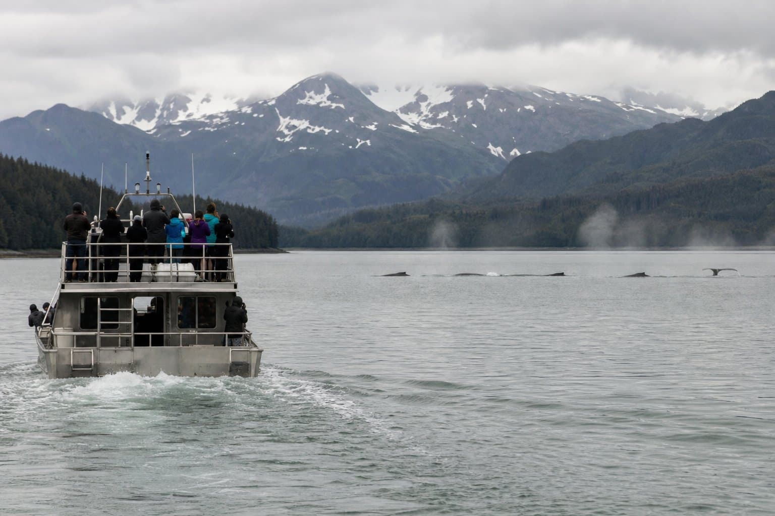 Cover image for article: Glacier Bay sets 13-knot speed limit in Queen Inlet starting Thursday