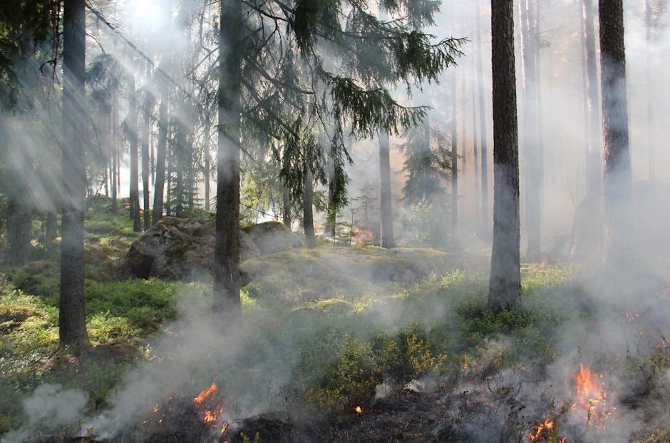 Cover image for article: Alaska suspends burn permits statewide as heat drives fire risk