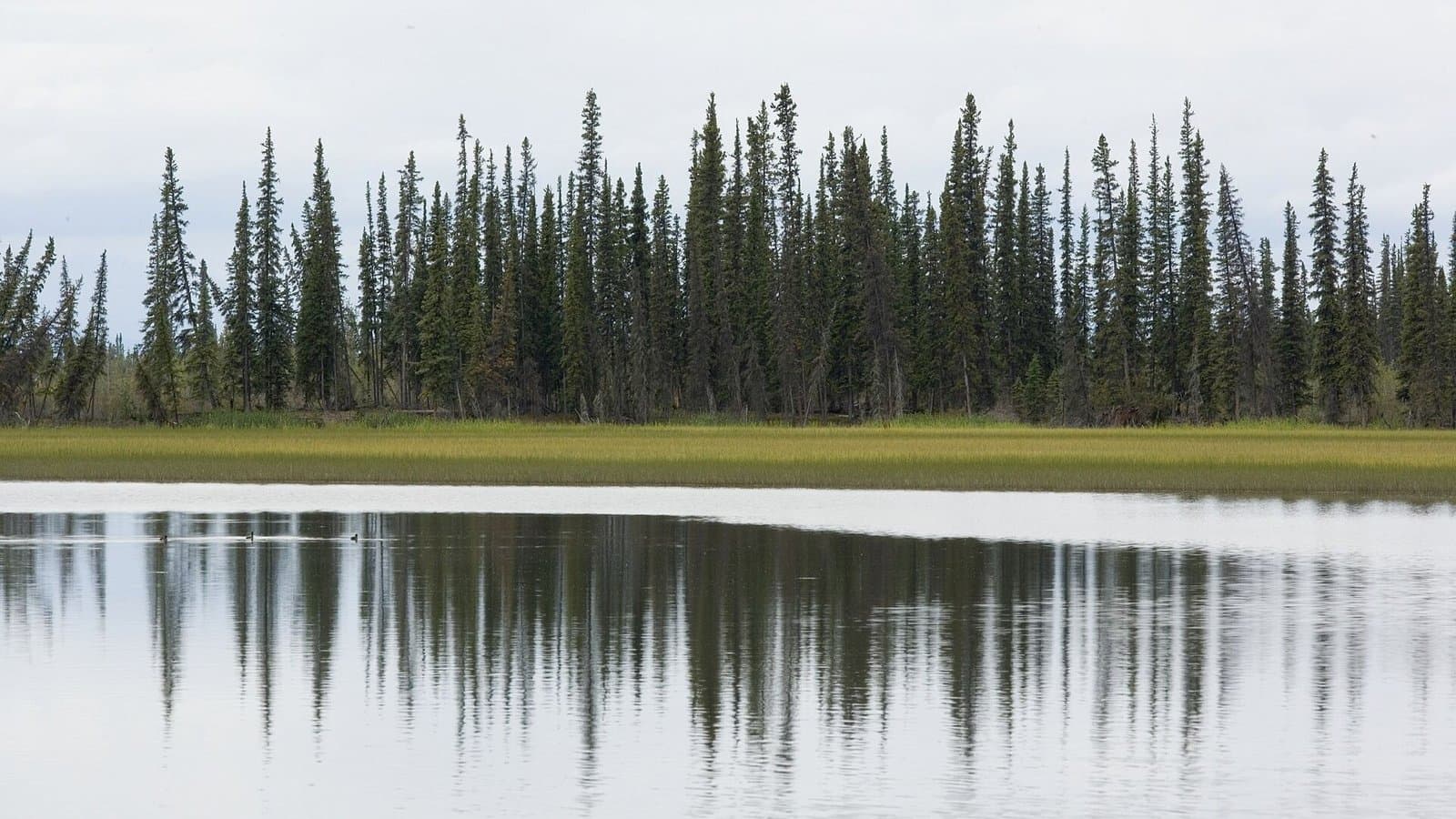 Cover image for article: Interior adds $2,053 and more flight hours to Tok air service's Tetlin refuge order