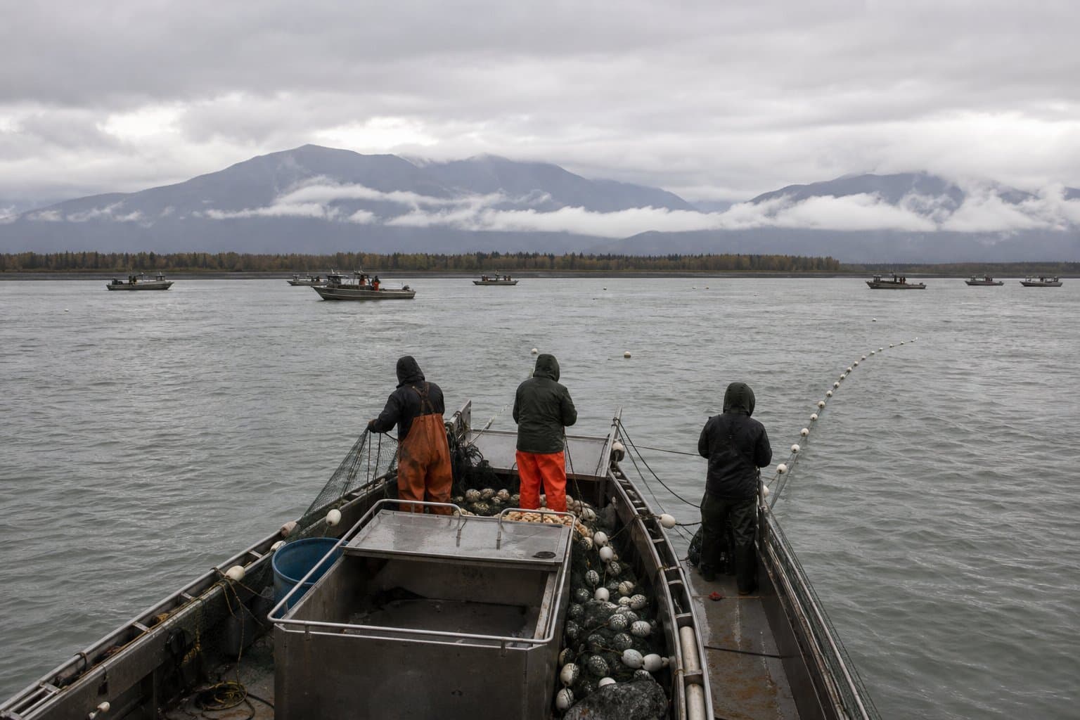 Cover image for article: Copper River coho periods stretch to 36 hours next week