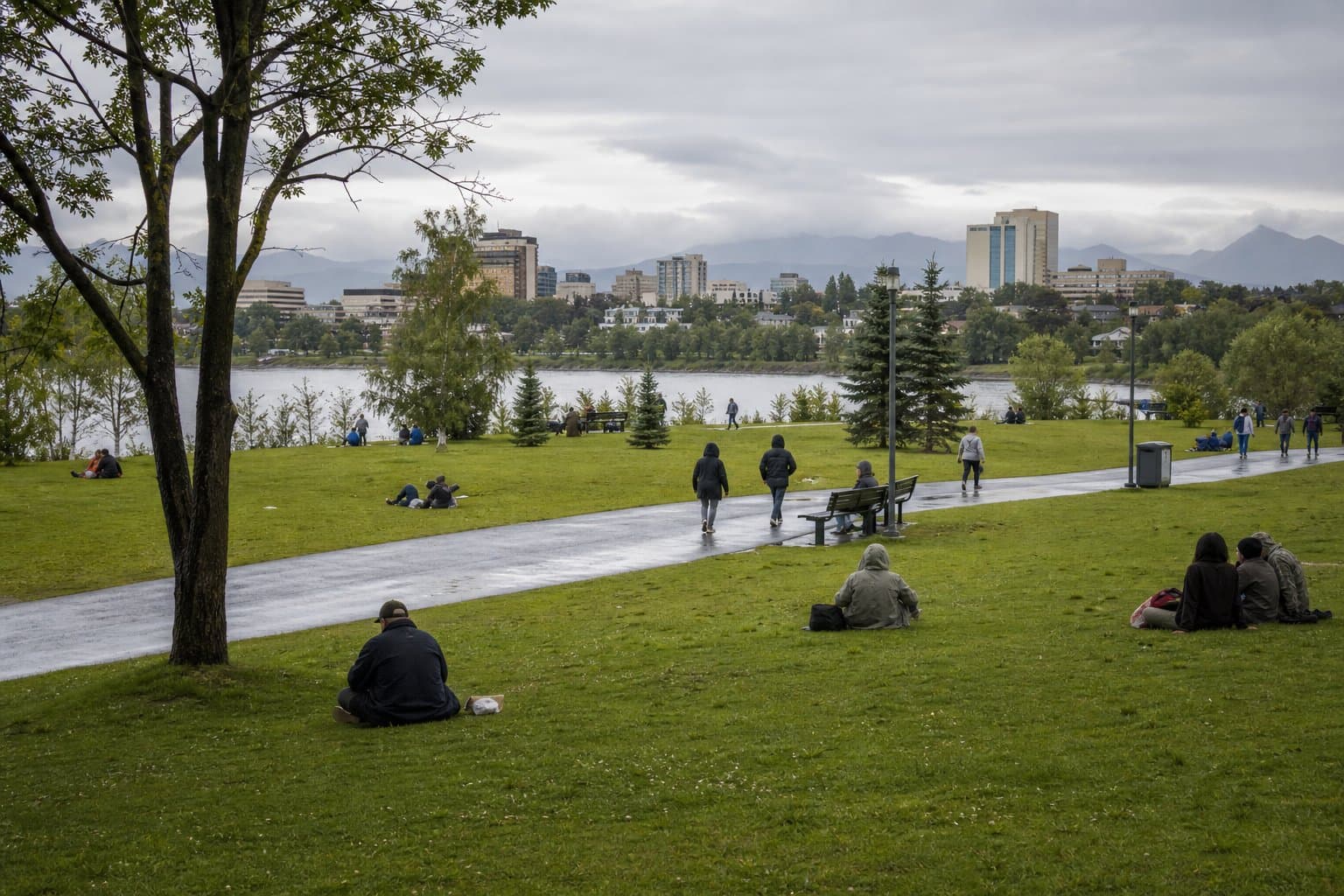 Cover image for article: Anchorage Assembly approves conditional public intoxication ban
