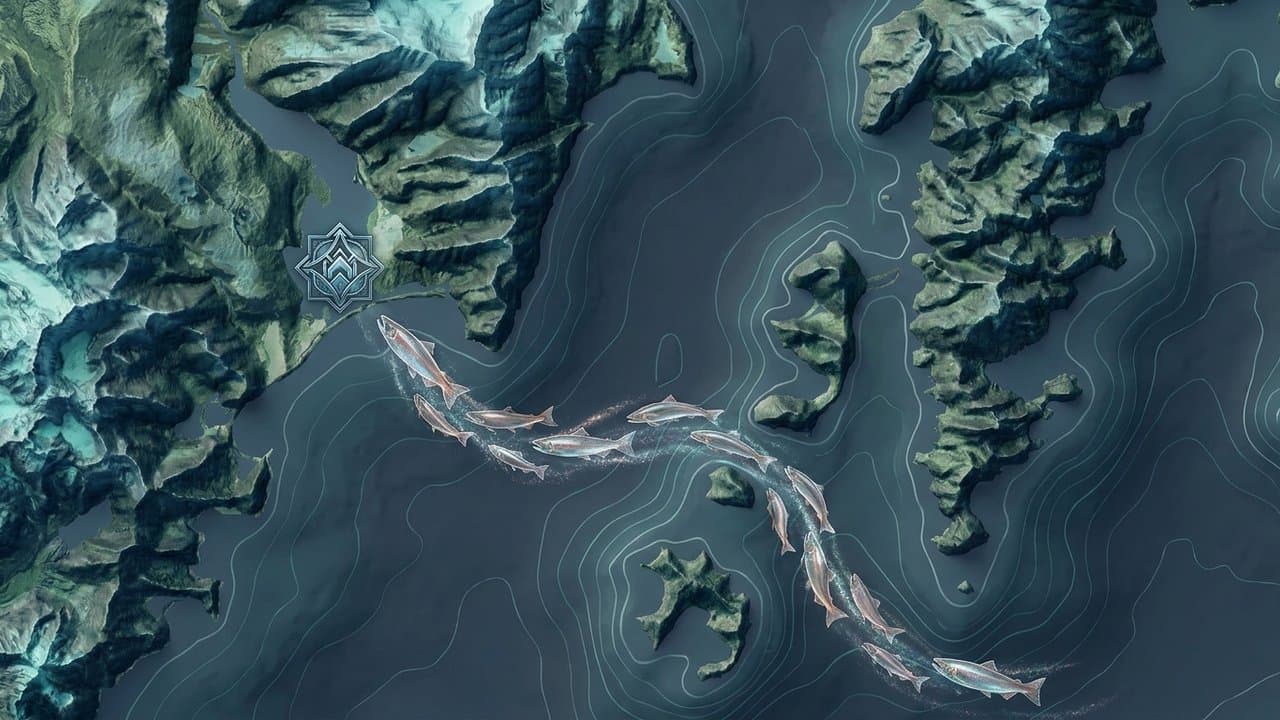 Cover image for article: More than 100 coho have passed Bear Creek weir near Seward