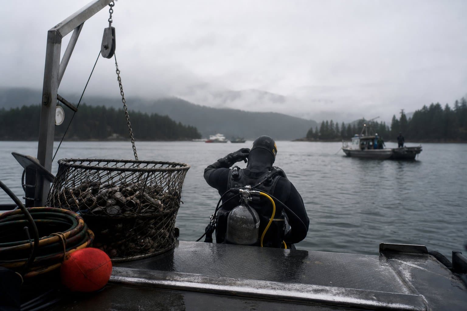 Cover image for article: Southeast geoduck season set at 264,000 pounds, first opening planned Oct. 7