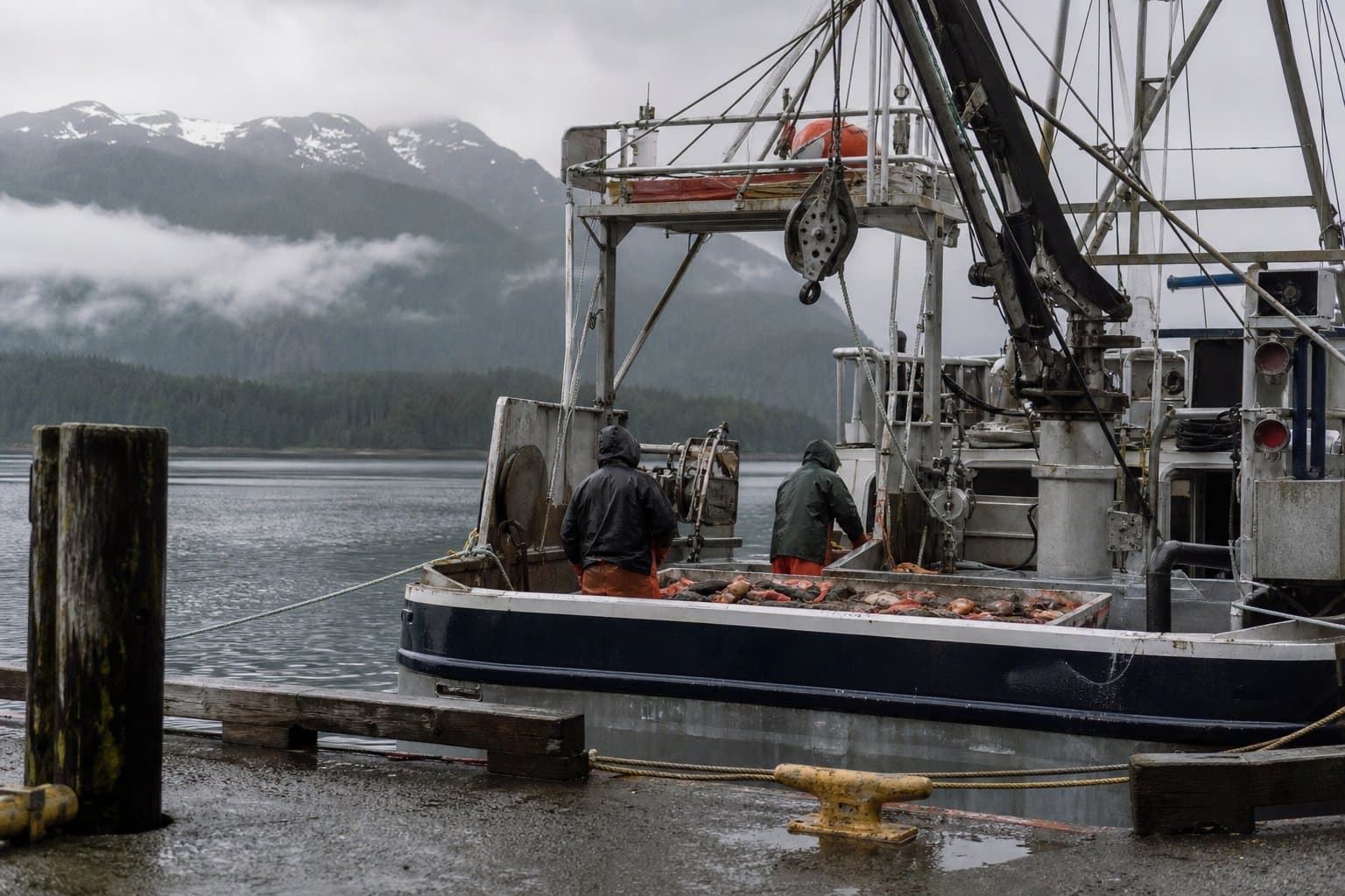 Cover image for article: Yakutat's dusky rockfish season closes after filling its 150-ton share