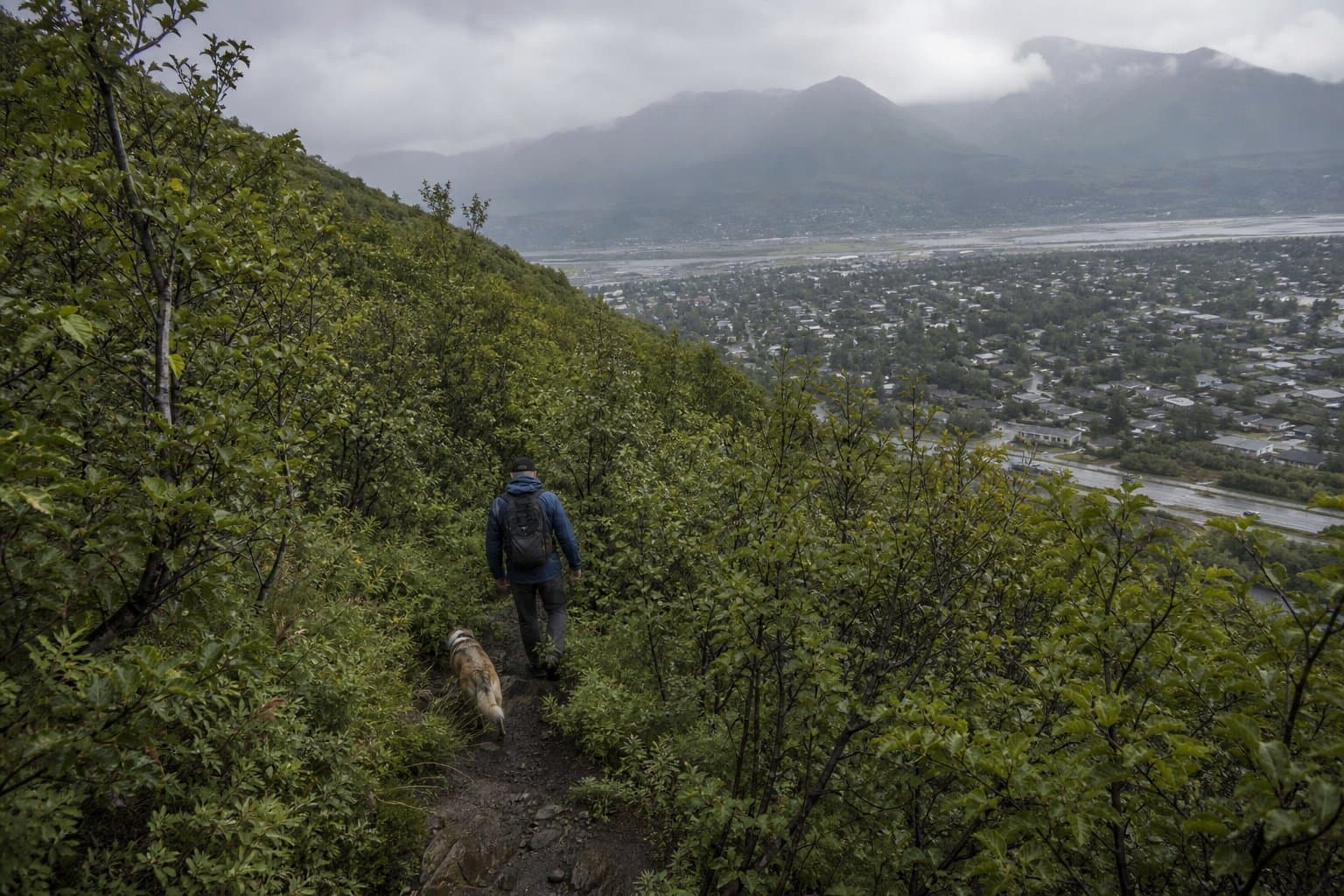 Cover image for article: A dog reported killed in the Bear Valley bear attack turned up alive