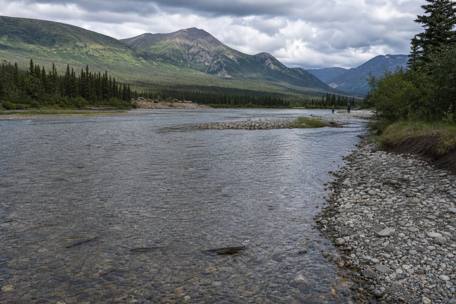 Cover image for article: Interior agenda lists Endangered Species Act 'harm' rescission at final rule stage