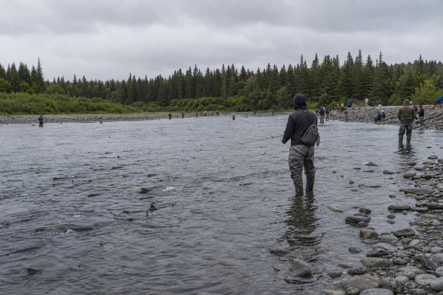 Cover image for article: Three out-of-state visitors cited for illegal salmon snagging at Sterling access site