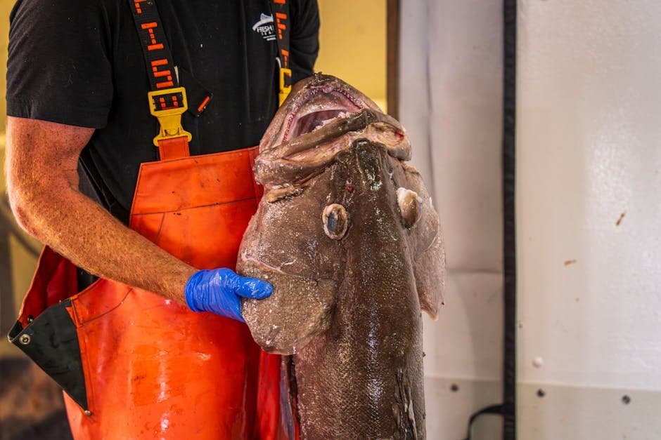 Cover image for article: Southeast outer coast lingcod fishery closes after hitting quota