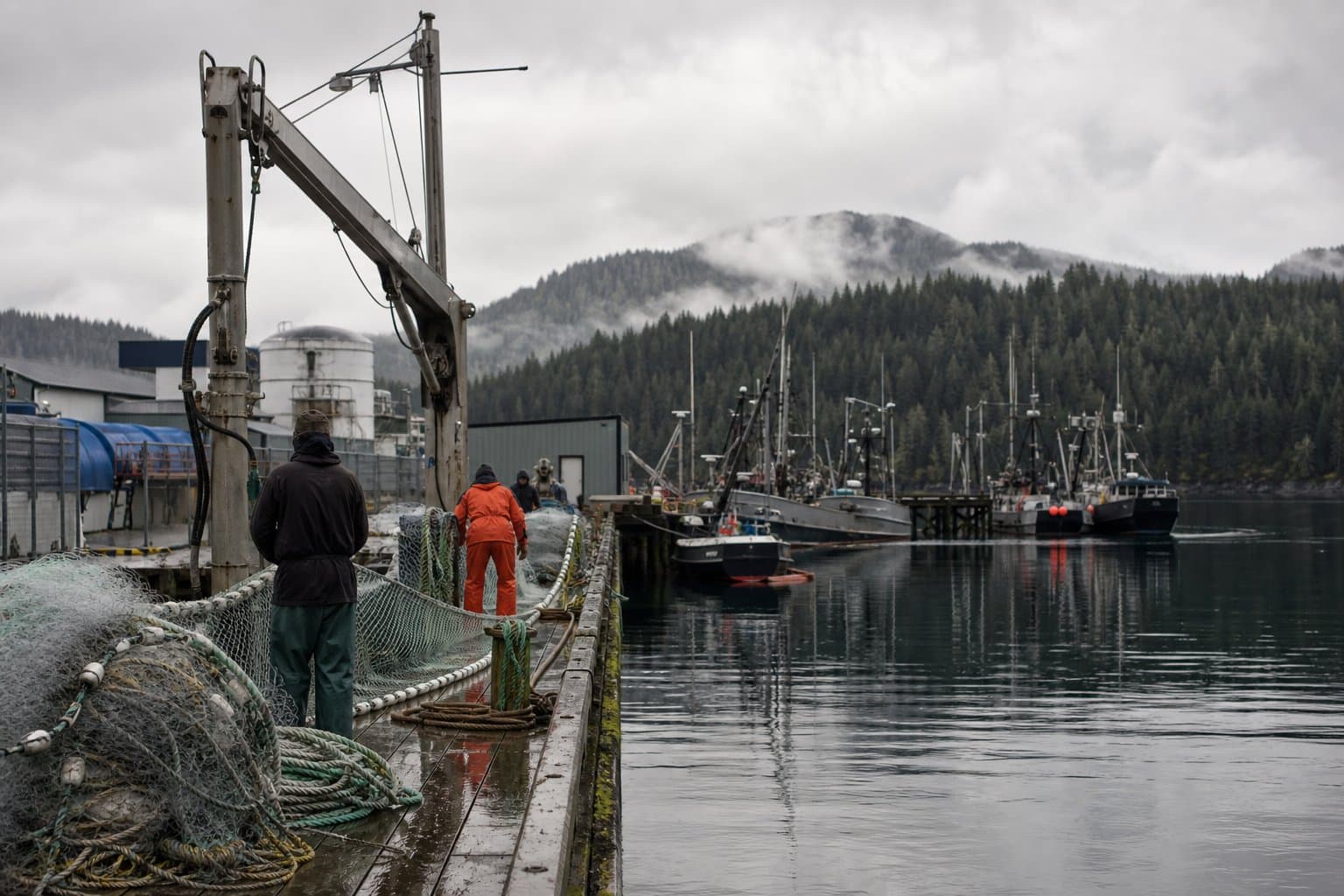 Cover image for article: Fish and Game sets Prince William Sound fall herring quota at 749 tons, citing weak spring spawn