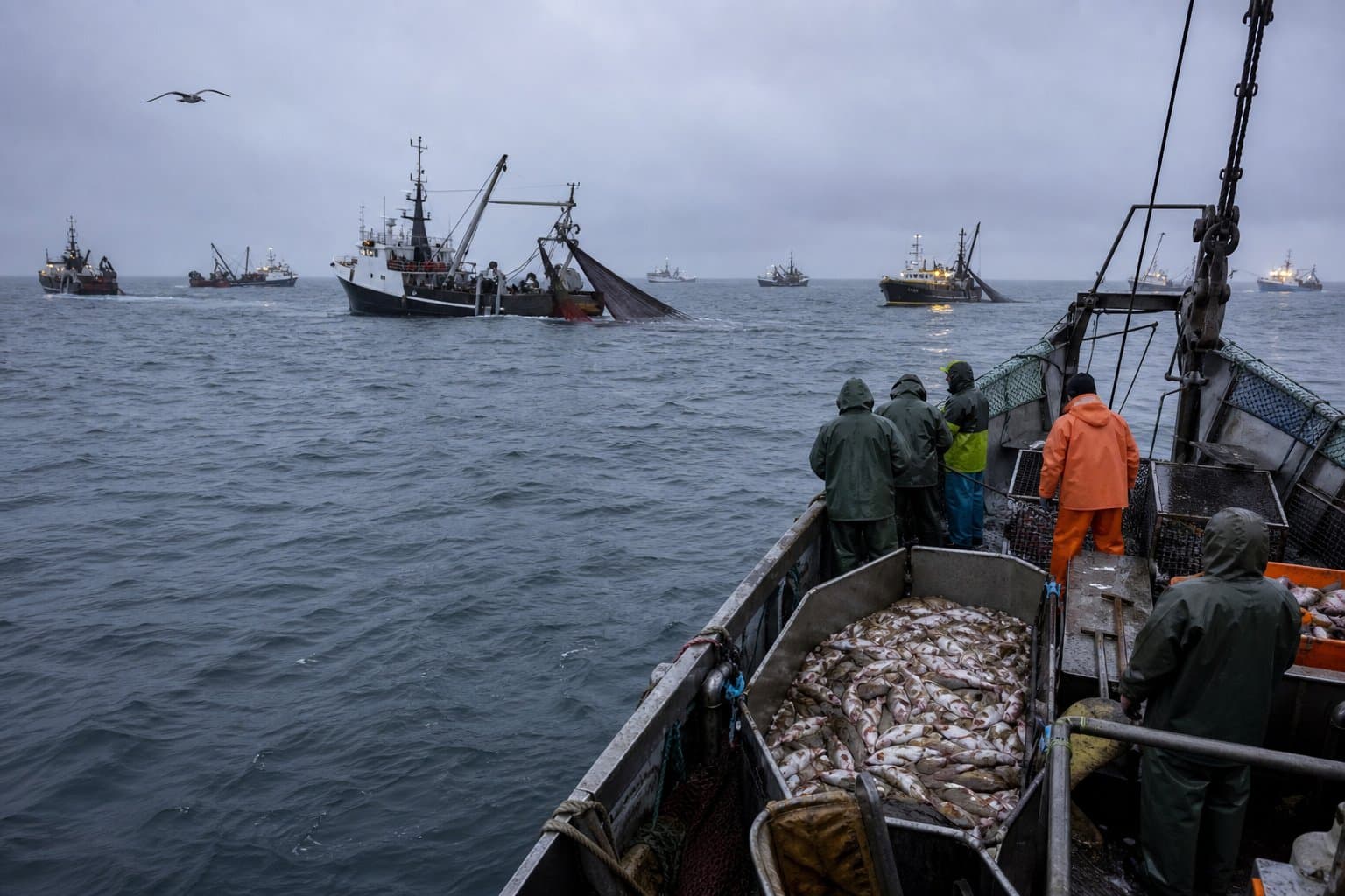 Cover image for article: NSEDC trades unused flatfish quota for 900 tons of Bering Sea rock sole