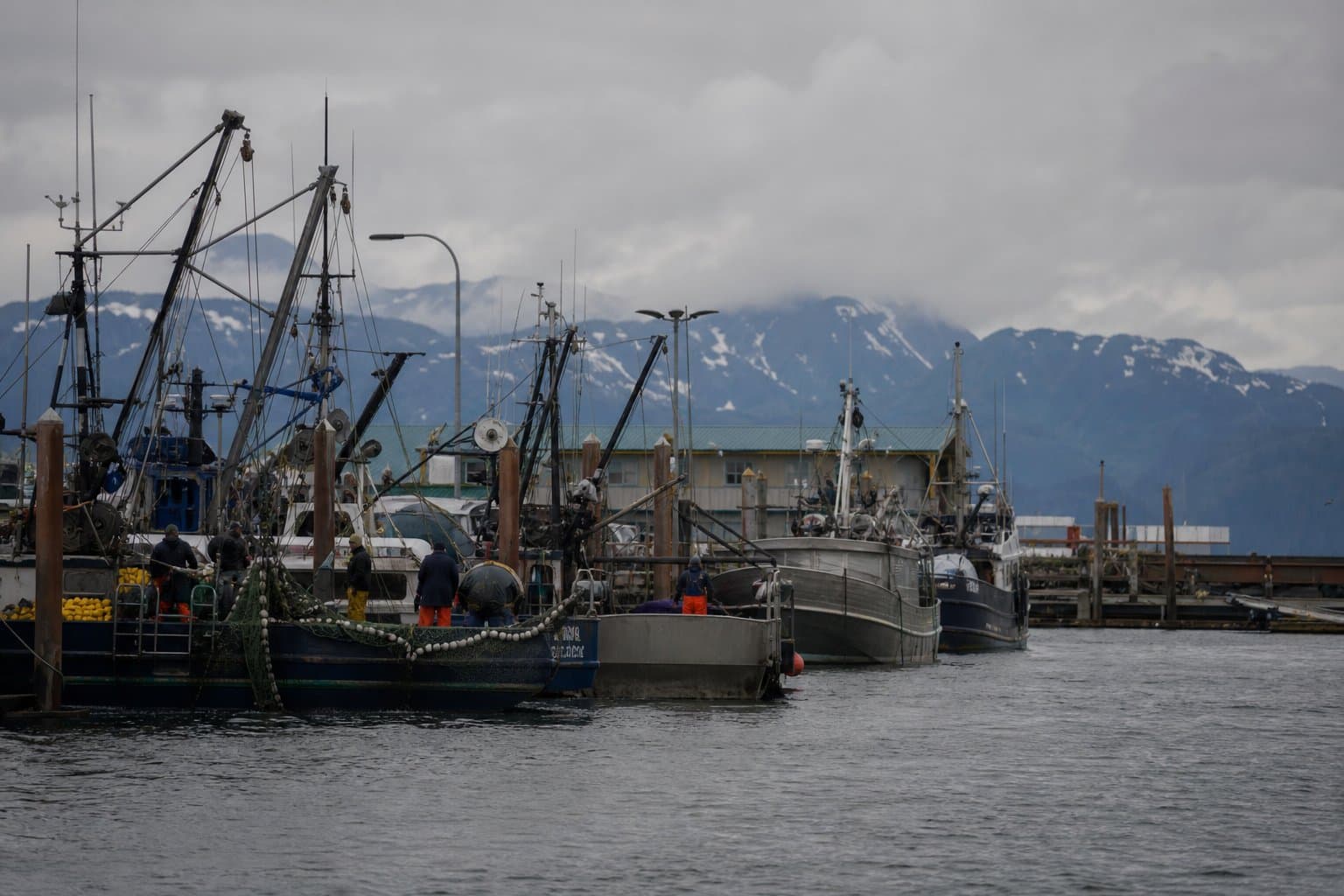 Cover image for article: Sand Point salmon fishery opens Wednesday for 109 hours, the longest window of the string