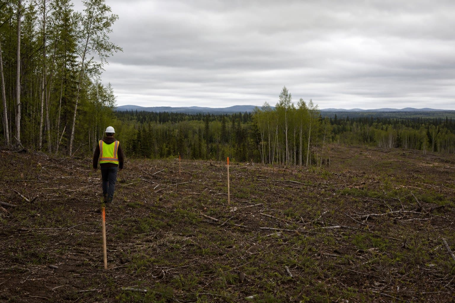 Cover image for article: Fairbanks Platting Board to weigh state-backed subdivision, easement vacation near Old Steese Highway