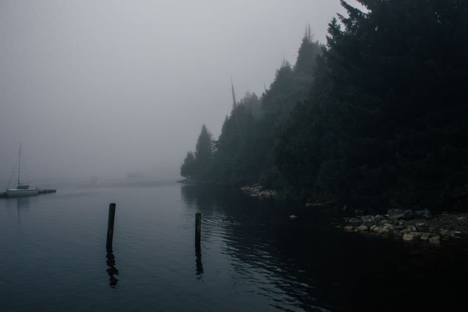 Cover image for article: Gustavus and Glacier Bay fog advisory has expired; patchy fog forecast again overnight