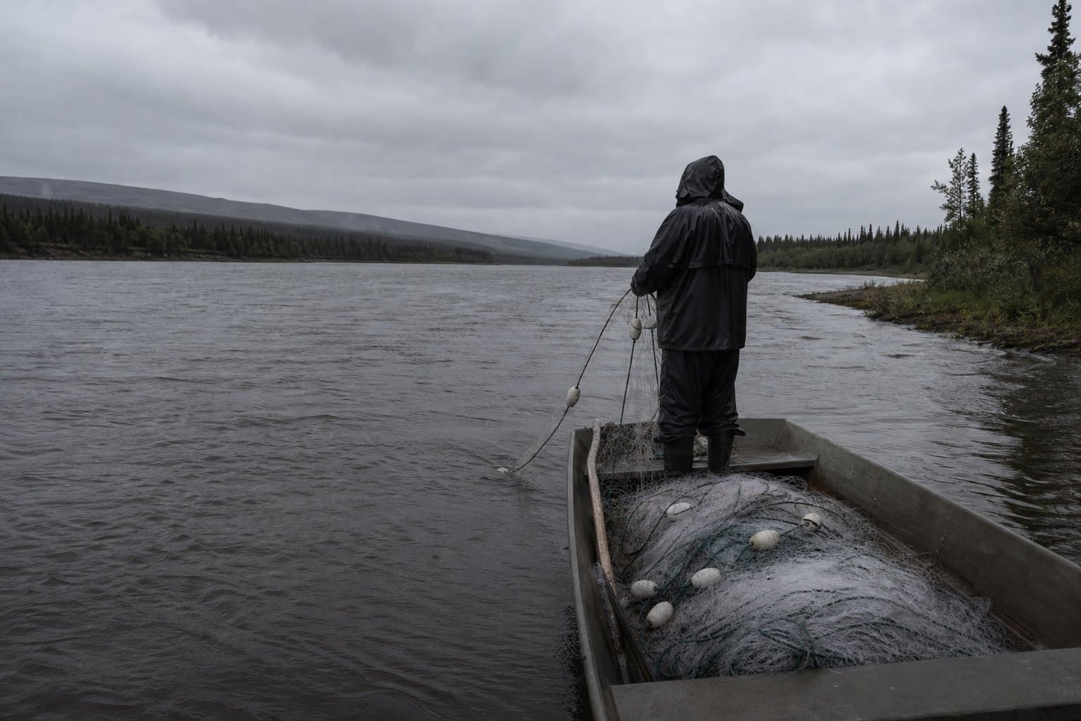 Cover image for article: Federal managers close Yukon, Innoko gillnets to protect Chinook and chum