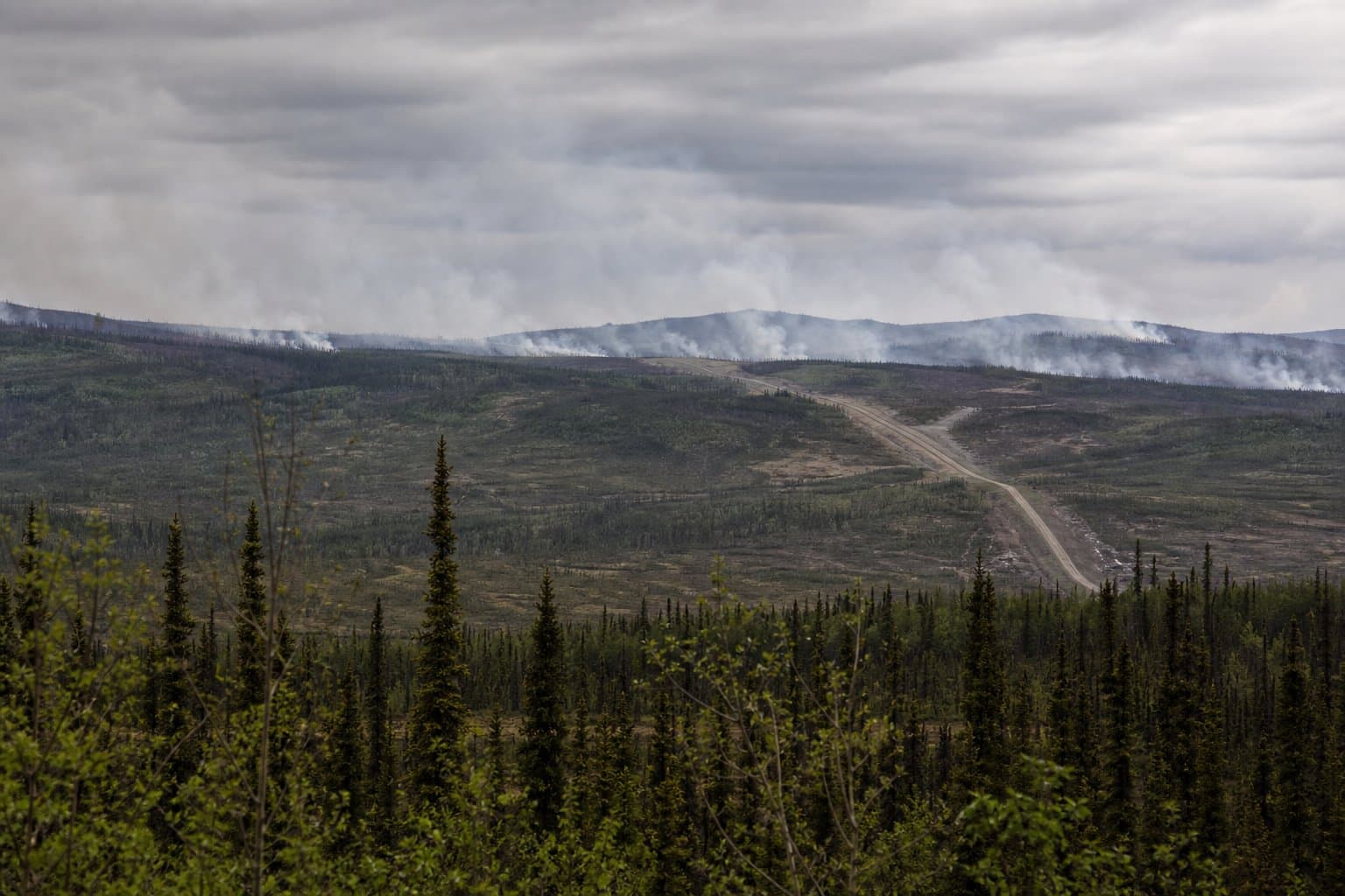 Cover image for article: Shaw and Pogo fires hold at 1,562 acres near Pogo Mine Road in monitor status