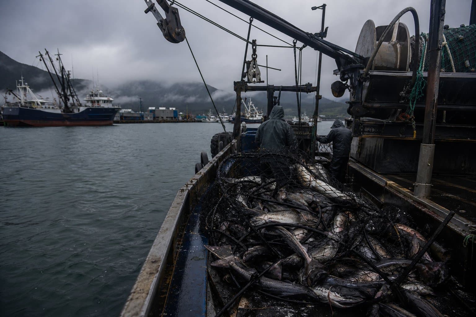 Cover image for article: West Coast sablefish season loses its time-of-day rules Aug. 6