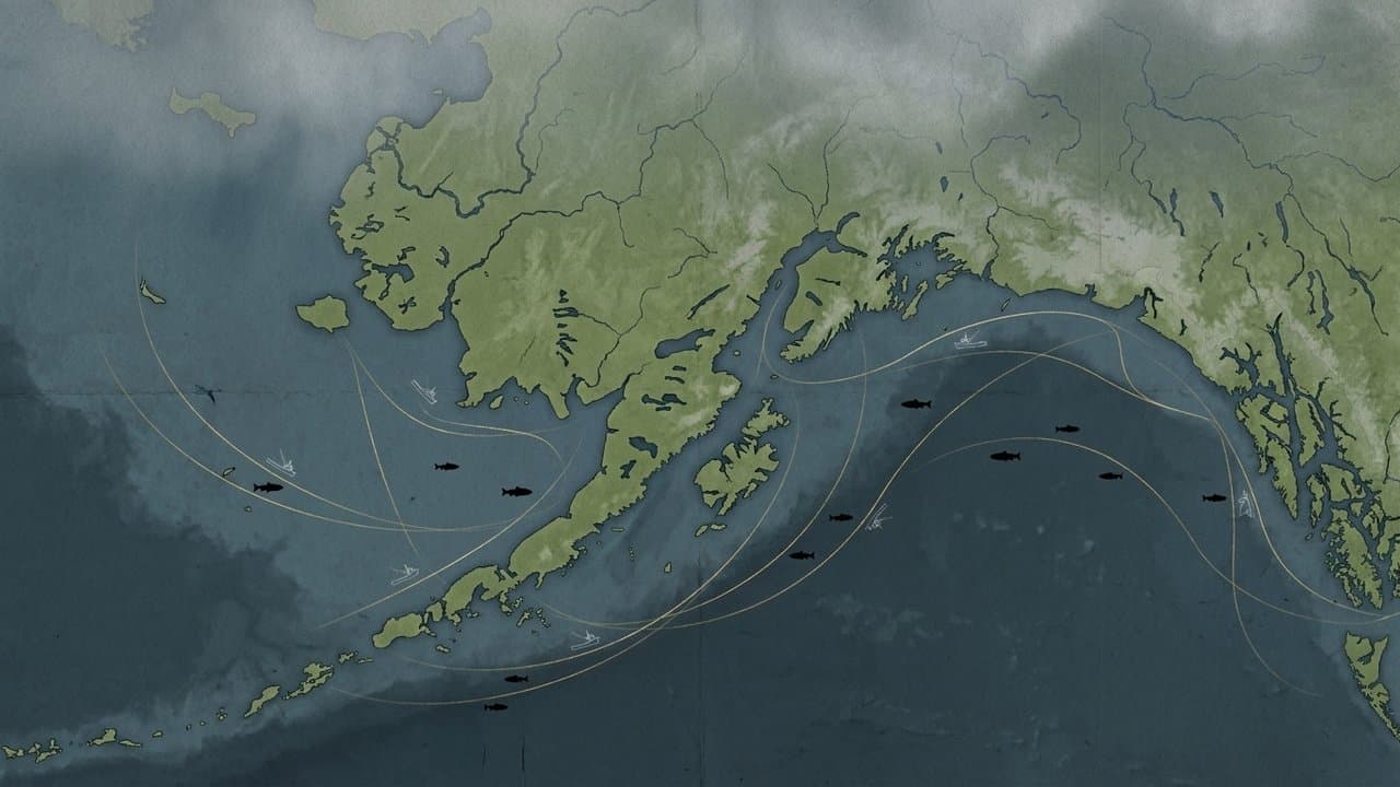 Cover image for article: Southeast troll Chinook season stretches into mid-July with half the quota still in the water