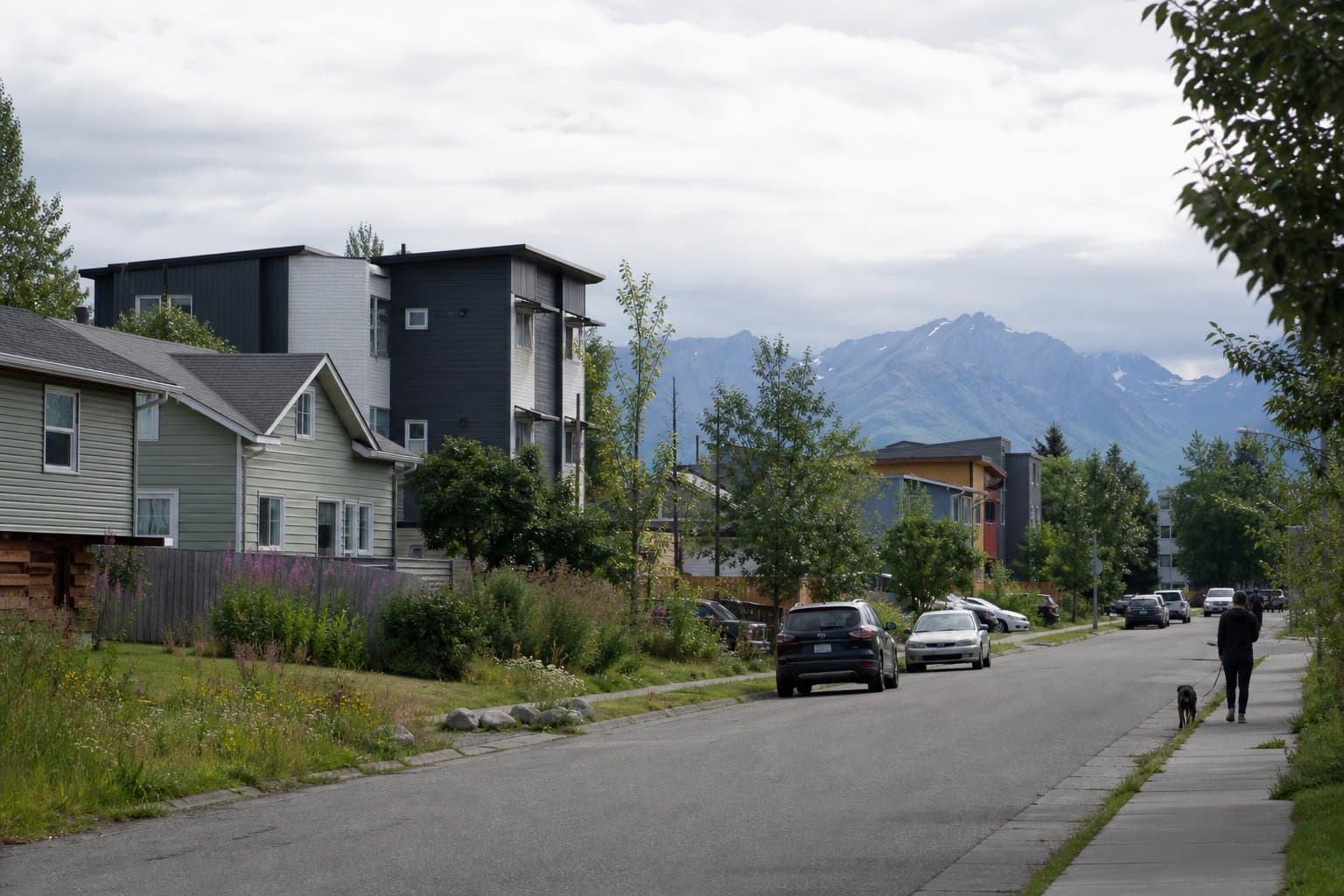 Cover image for article: Anchorage legalized triplexes. Now it wants to drop their landscaping requirement