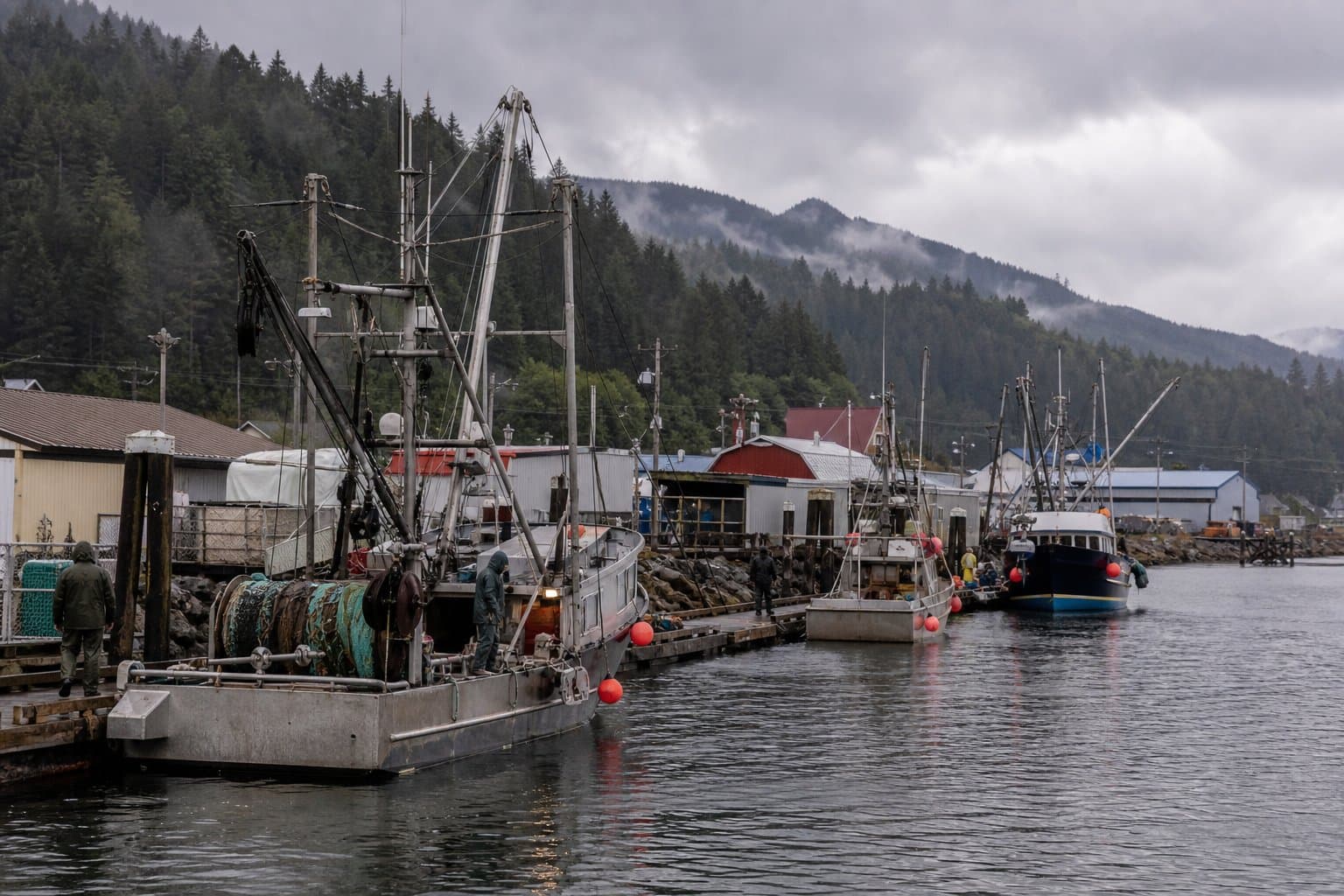 Cover image for article: Wrangell Assembly declares local disaster over Dungeness crab decline