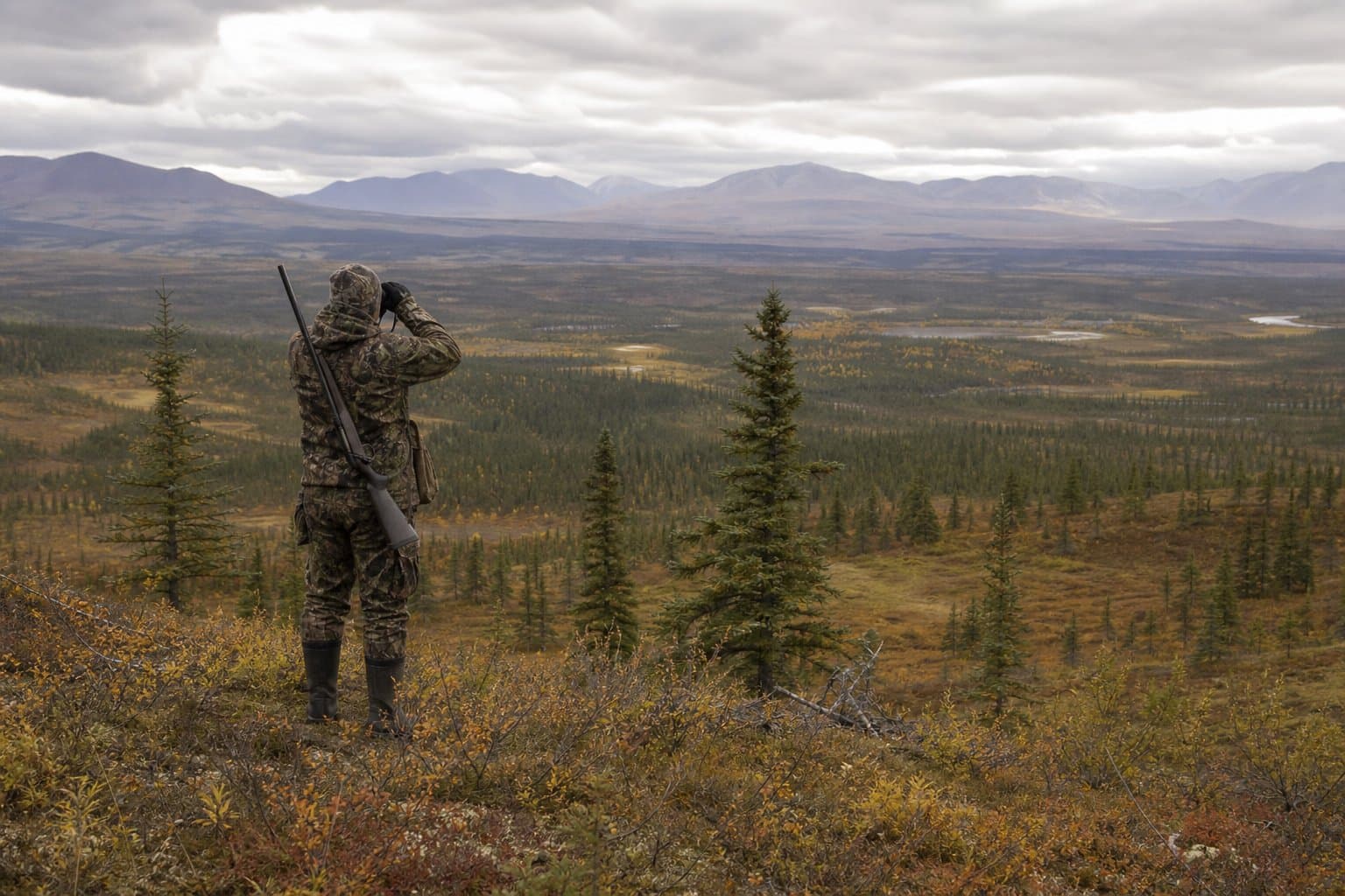 Cover image for article: Federal board gives subsistence hunters 10 more days to hunt moose in the Tetlin refuge area