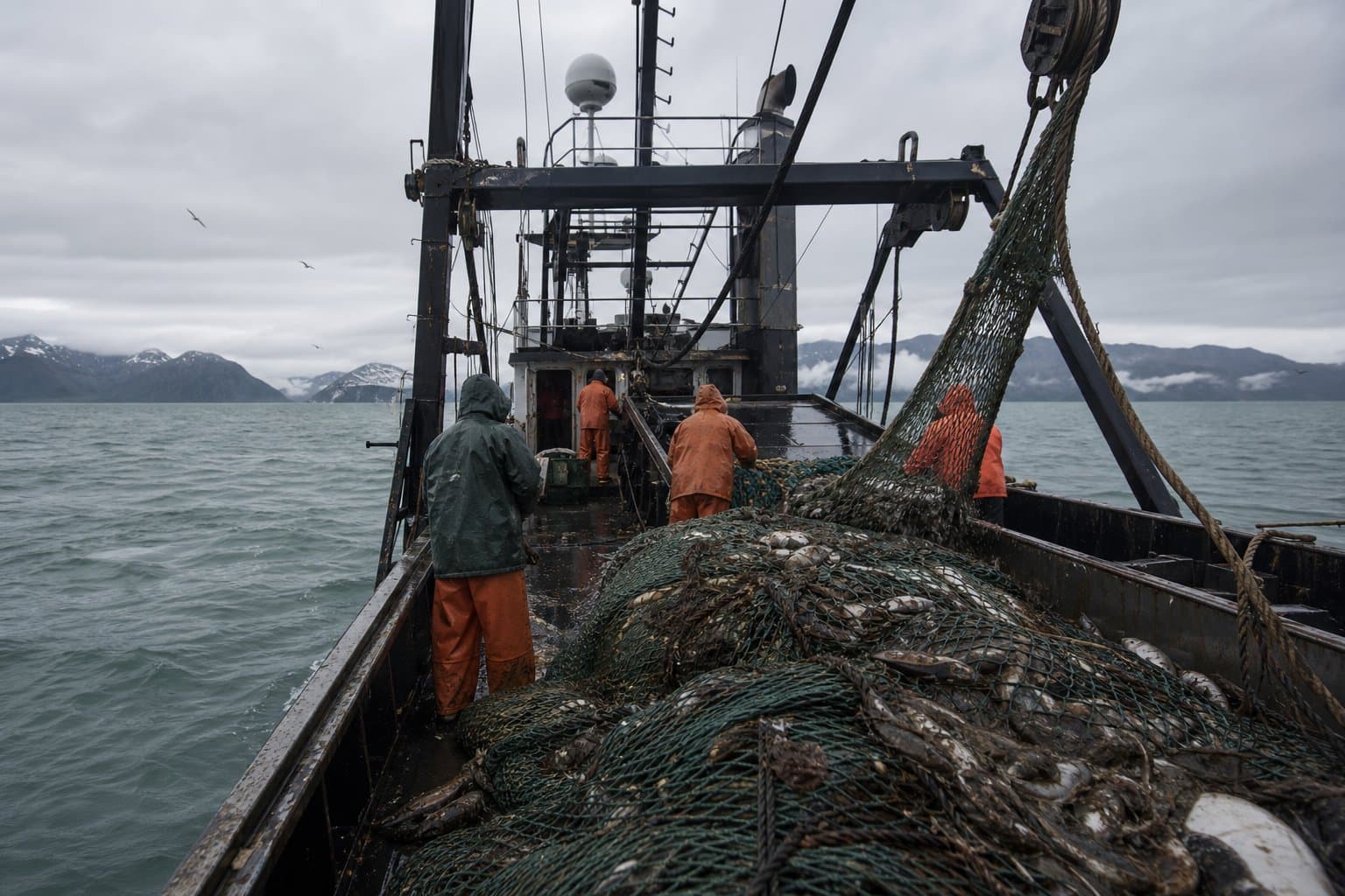 Cover image for article: Sullivan's Bycatch Bill Wades Into Alaska's Hardest Fish Fight