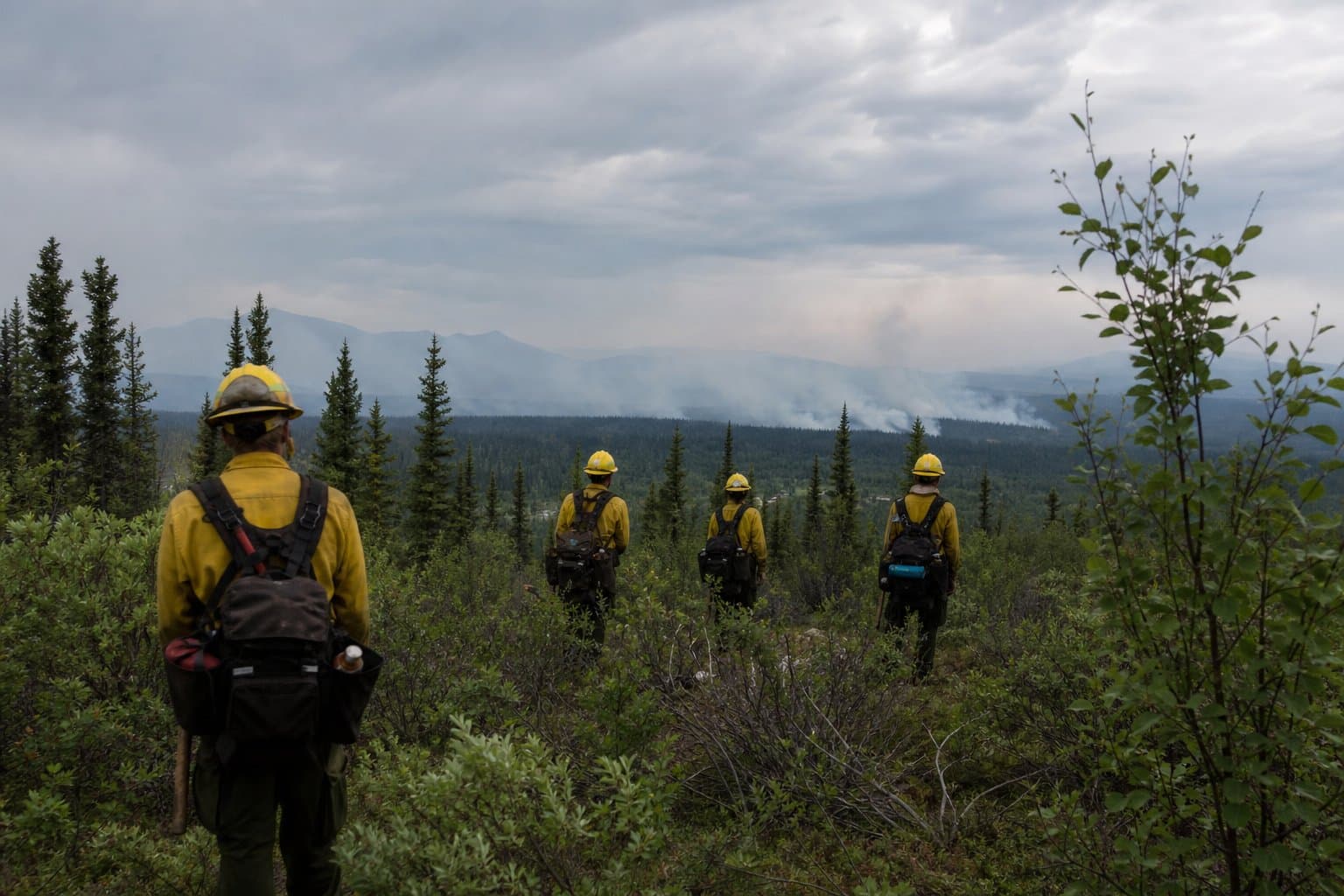 Cover image for article: Four wildfires logged across Alaska overnight on July 4 holiday weekend