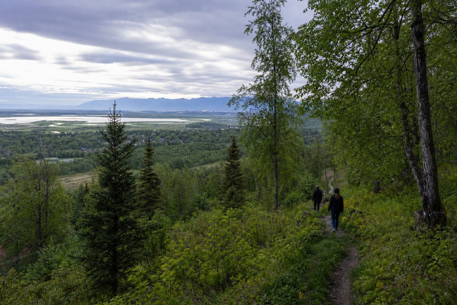 Cover image for article: Anchorage Assembly to weigh natural burial cemetery near Potter Marsh