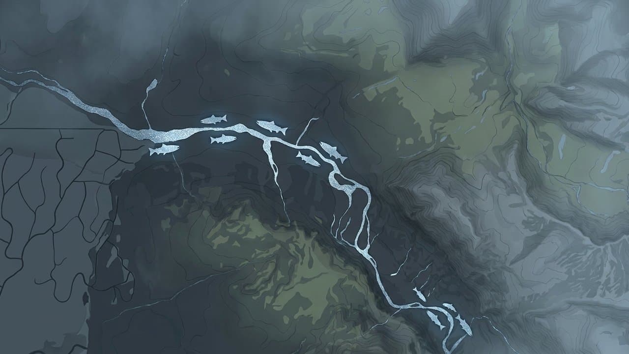 Cover image for article: Ship Creek limit rises to six non-king salmon a day Friday