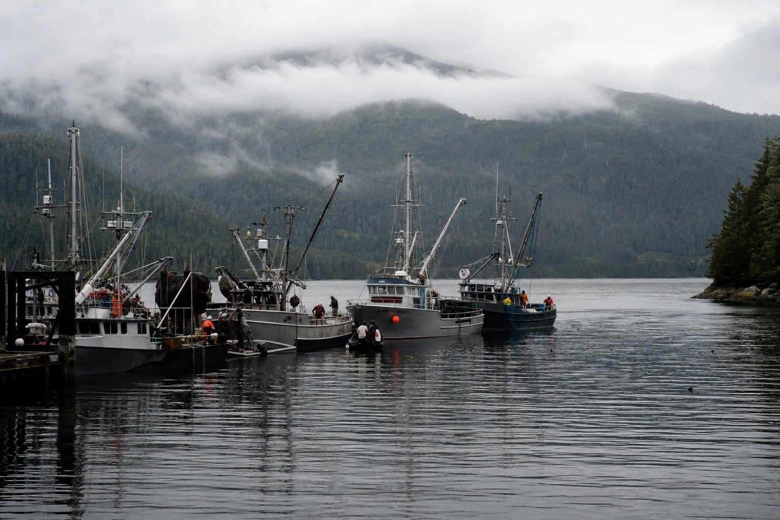 Cover image for article: Southeast Alaska pink and chum test fisheries run below average ahead of peak season