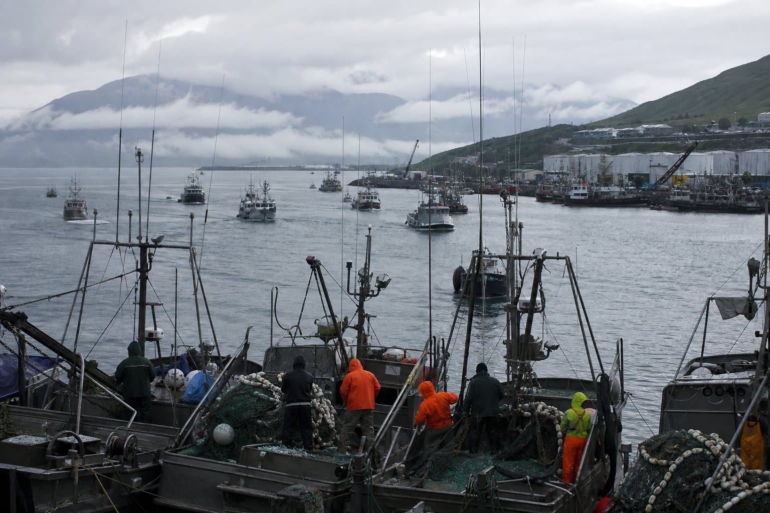Cover image for article: Bristol Bay is hauling in millions of sockeye — and it's still a down year