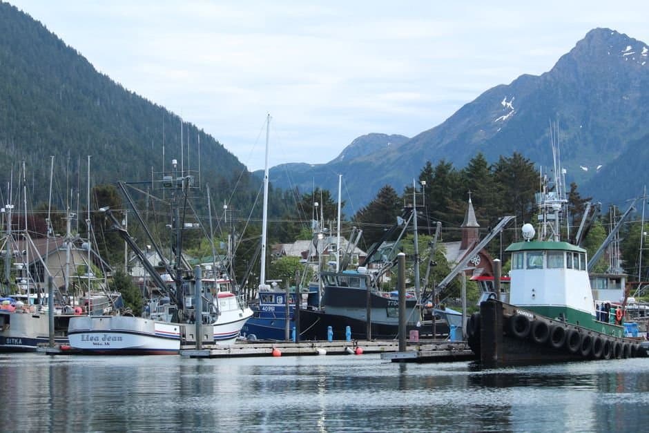Cover image for article: A month after naming a sole finalist, Sitka interviews two other administrator candidates Friday