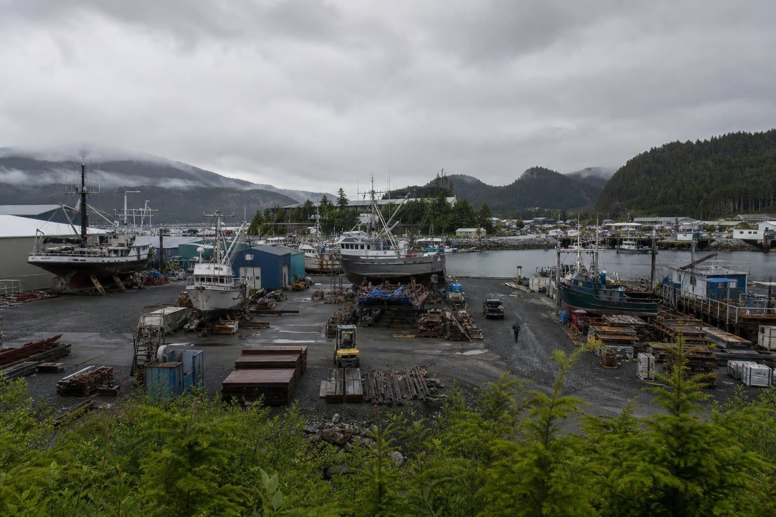 Cover image for article: Sitka Assembly reconsiders hatchery lease at Gary Paxton park